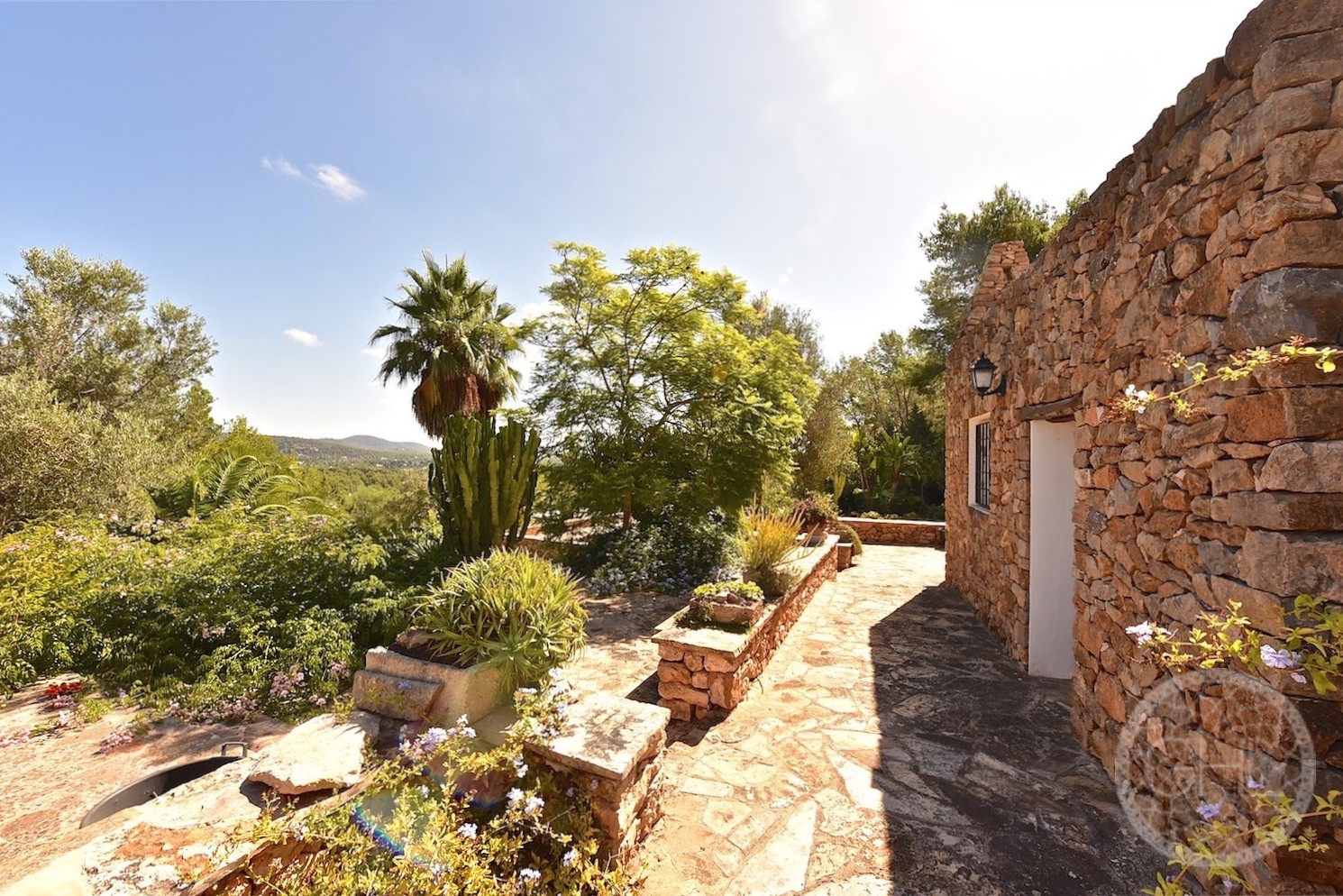 How to Create a Mediterranean Garden