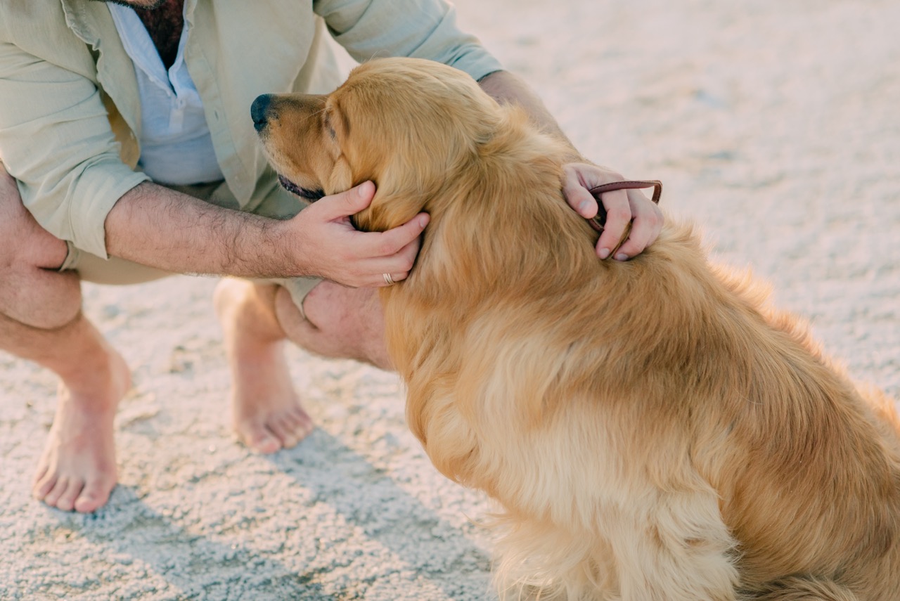 Moving to Ibiza with your pet
