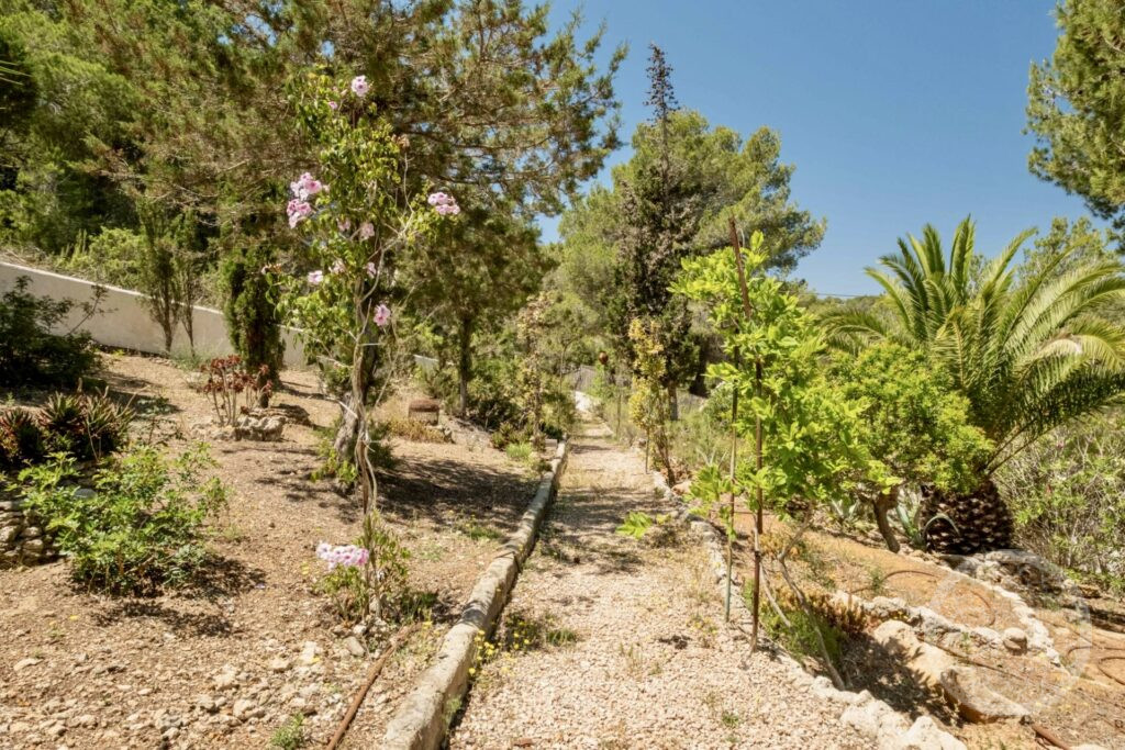 Ghl Ibiza Property 2321 8