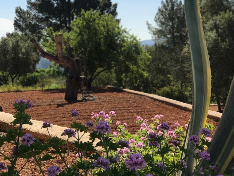 A stunning fully restored Finca 27